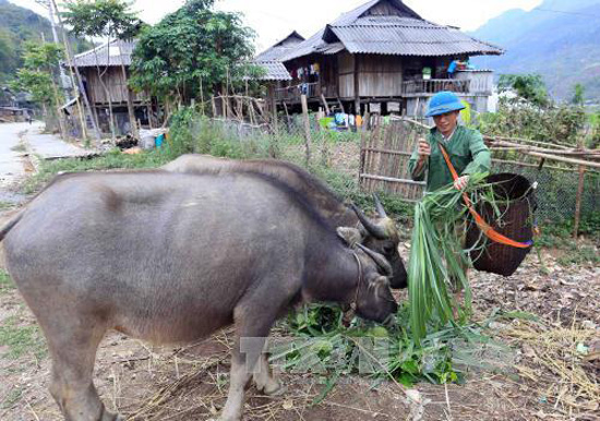 Tạo động lực cho người bị bệnh phong vươn lên ổn định cuộc sống
